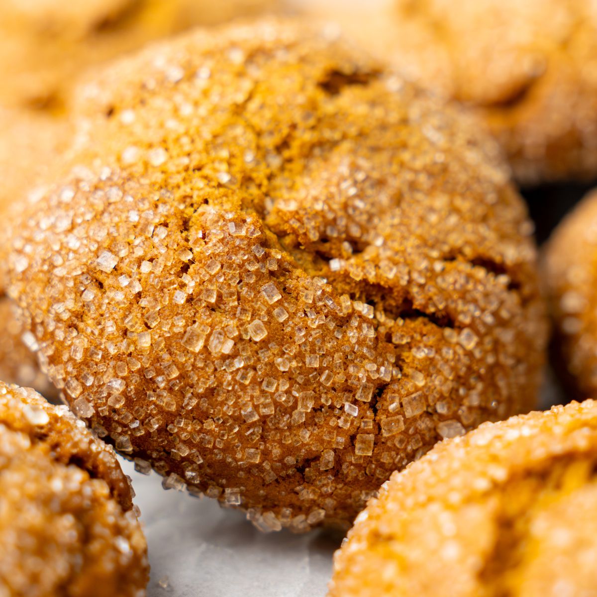 gluten free ginger molasses cookies