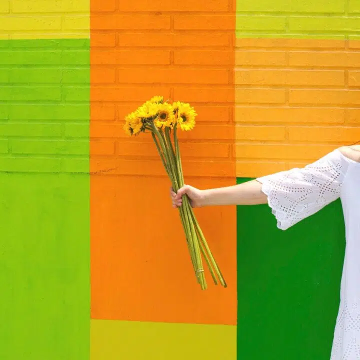 holistic nutrition favorites