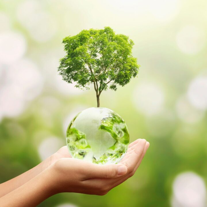 🌀 The Harmony Method™ Approach to a Healthy Home