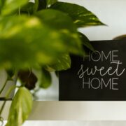 7 Healthy Home Environment Tips for Gut Health and Wellness