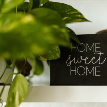 Wellness Insights: Holistic Health And Balanced Living