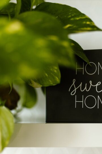 7 Healthy Home Environment Tips for Gut Health and Wellness