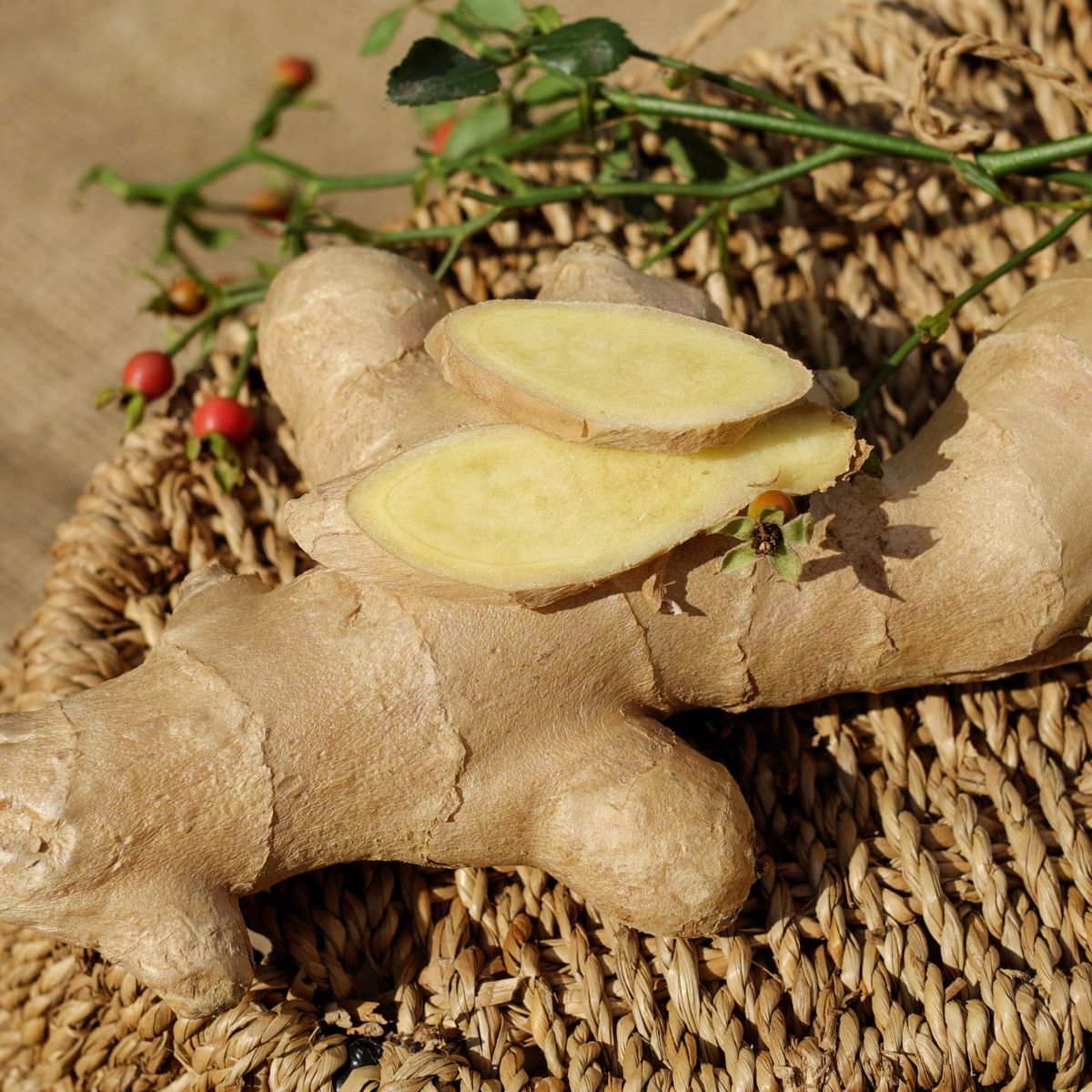 ginger is a gut healing food